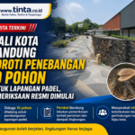 Wali Kota Bandung Soroti Penebangan 10 Pohon untuk Lapangan Padel, Pemeriksaan Resmi Dimulai