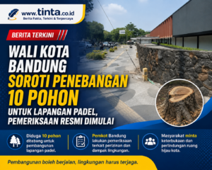 29a52ec5-0d3d-4885-b4f9-6231a341978d